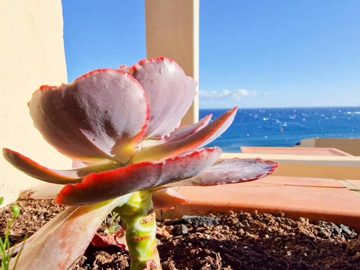Medano4You The Ocean Terrace Penthouse El Medano